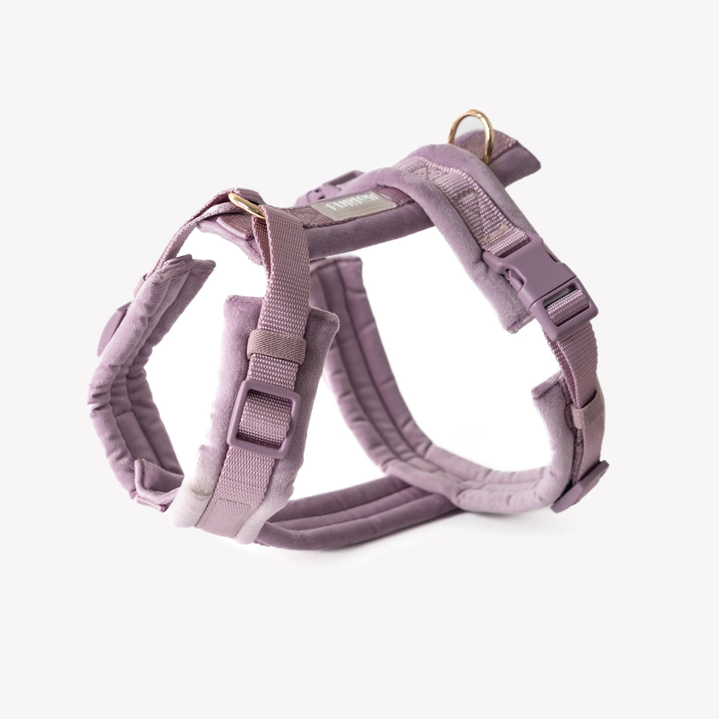 Lilac Velvet Dog Harness