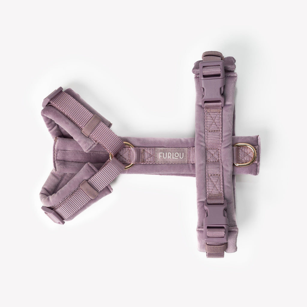 Lilac Velvet Dog Harness