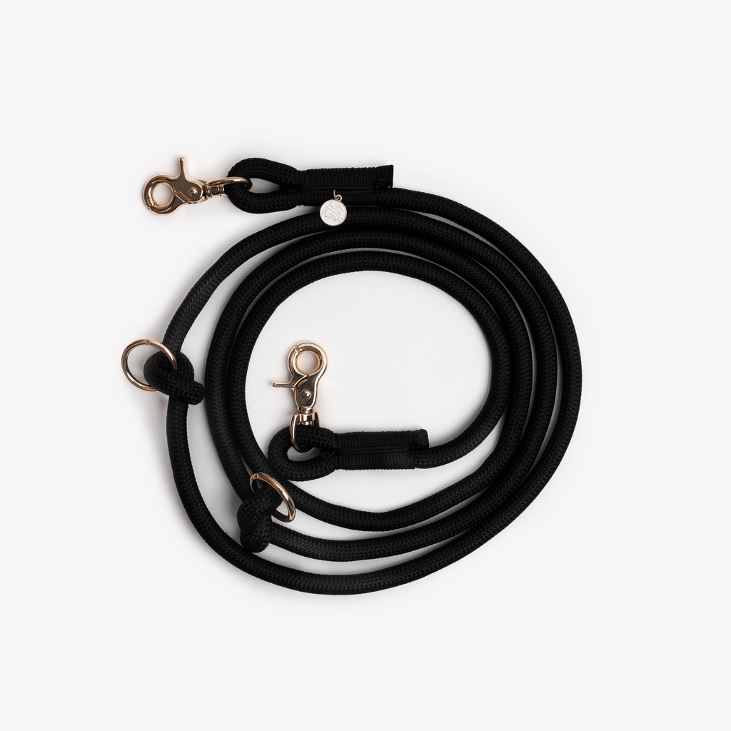 Black Hands-Free Braided Dog Leash