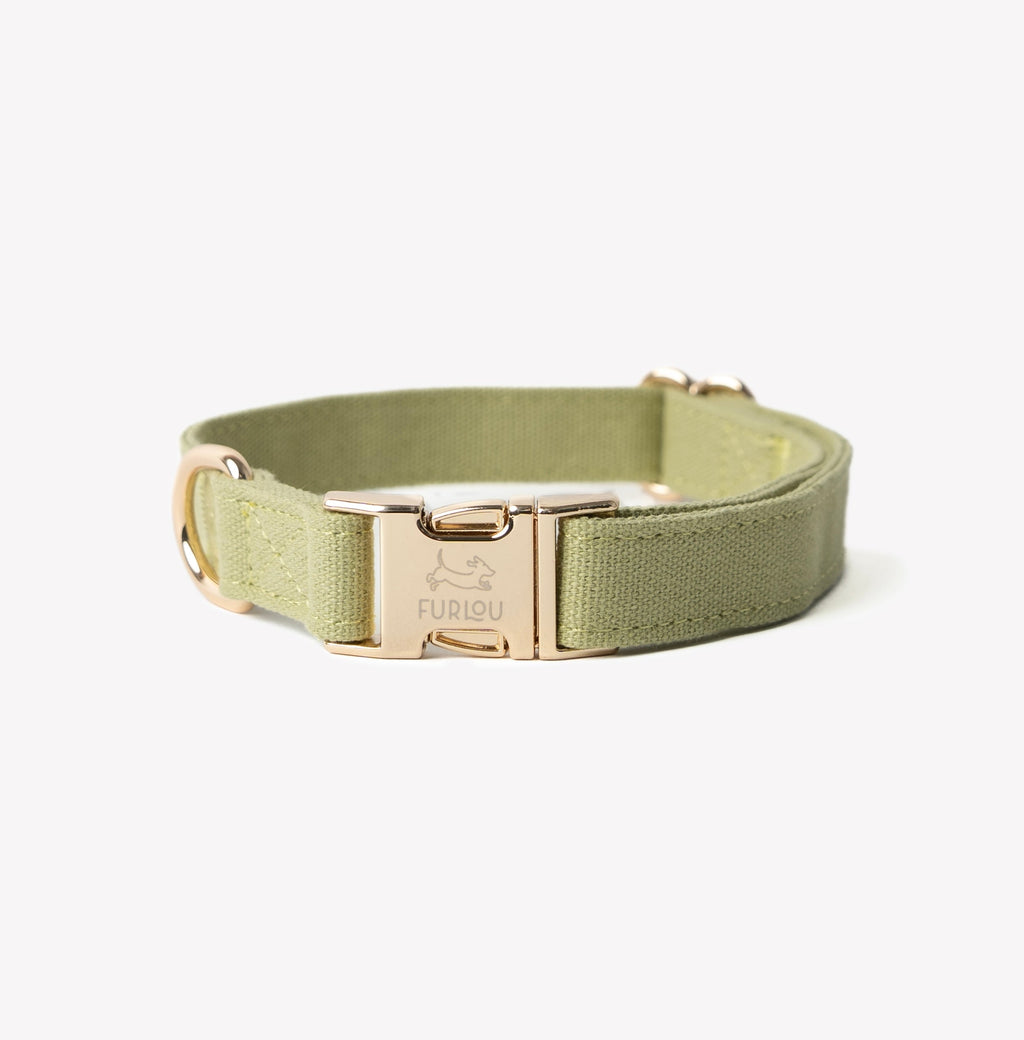 Green Canvas Dog Collar