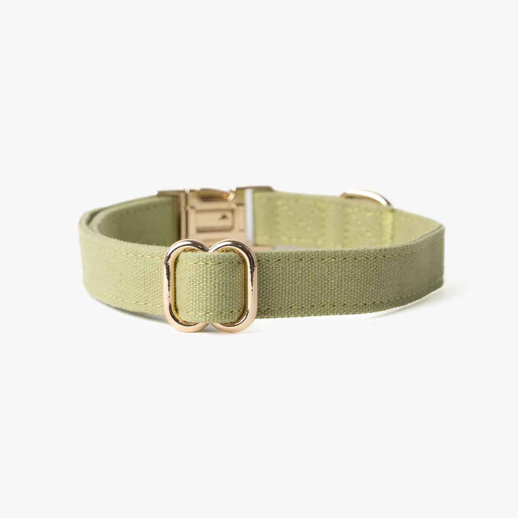 Green Canvas Dog Collar
