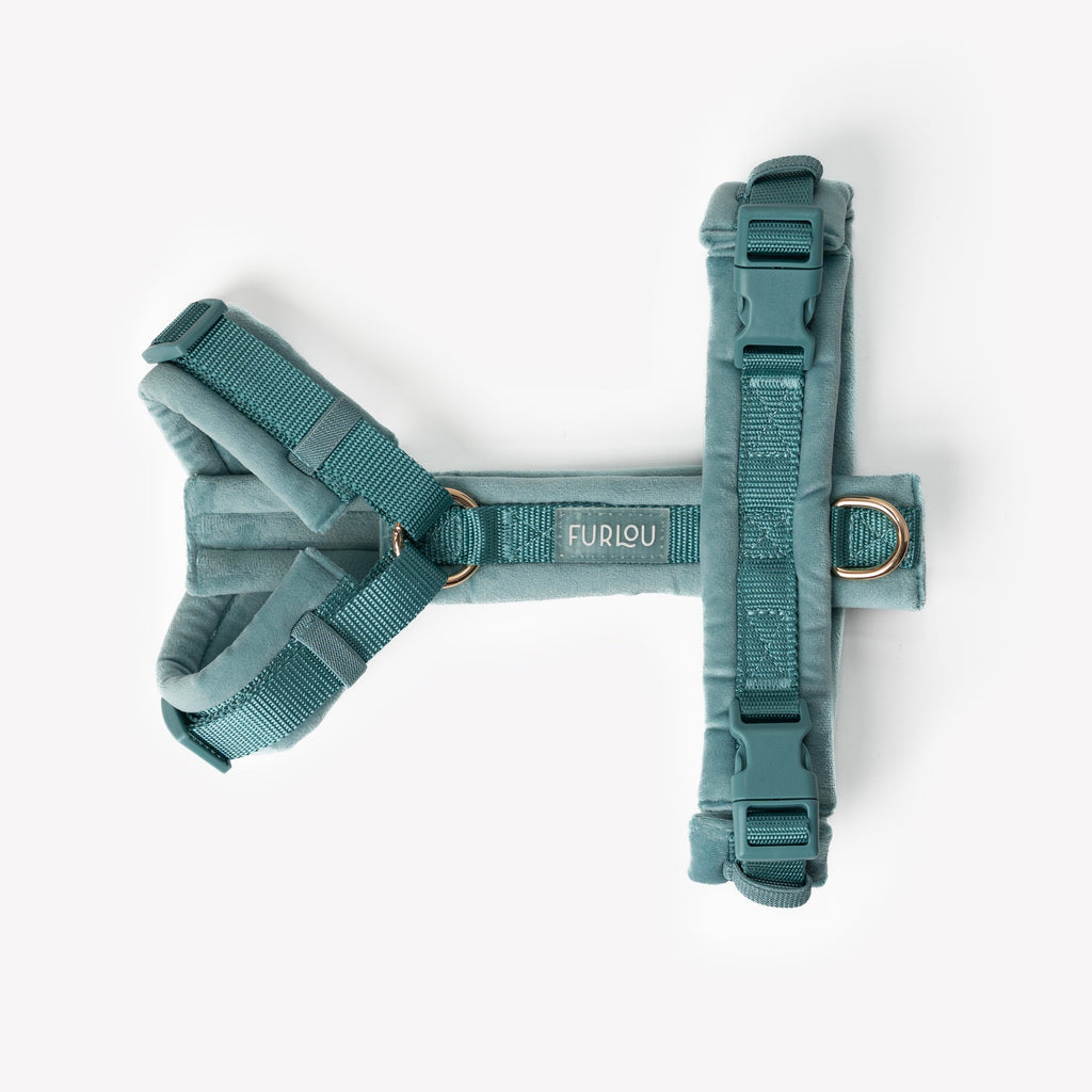 Blue Velvet Dog Harness