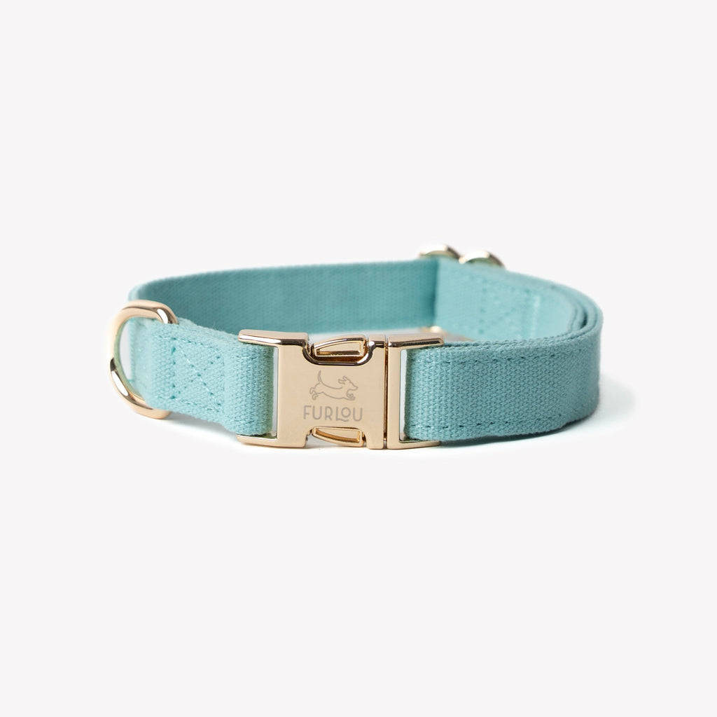 Blue Canvas Dog Collar