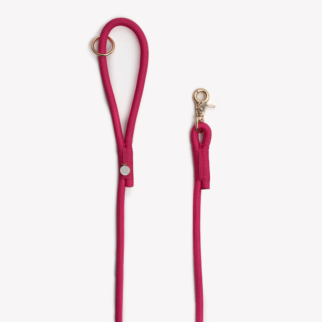 Magenta Braided Rope Dog Leash