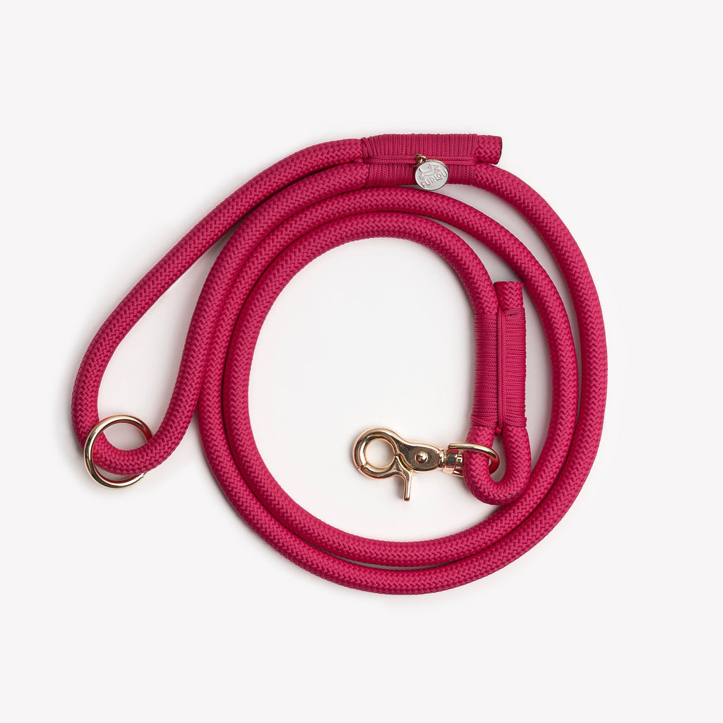 Magenta Braided Rope Dog Leash
