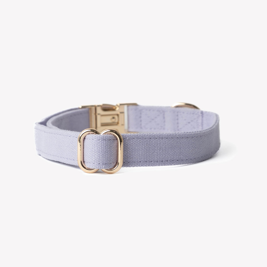 Lavender Canvas Dog Collar