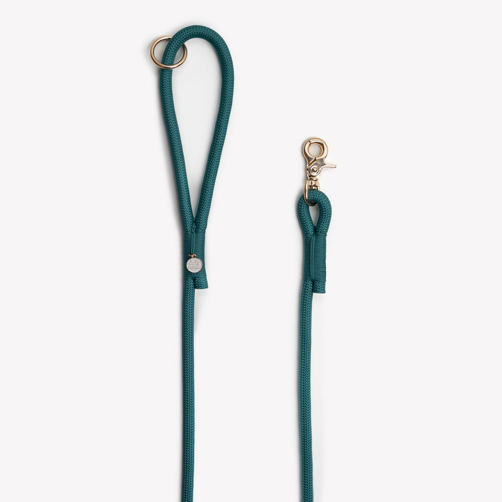 Blue Braided Rope Dog Leash