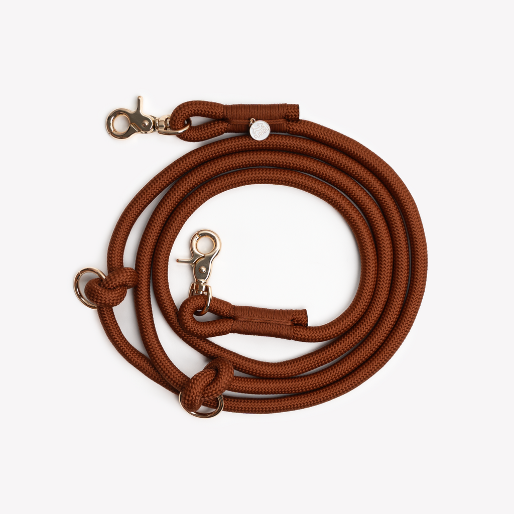 Clay Hands-Free Braided Dog Leash