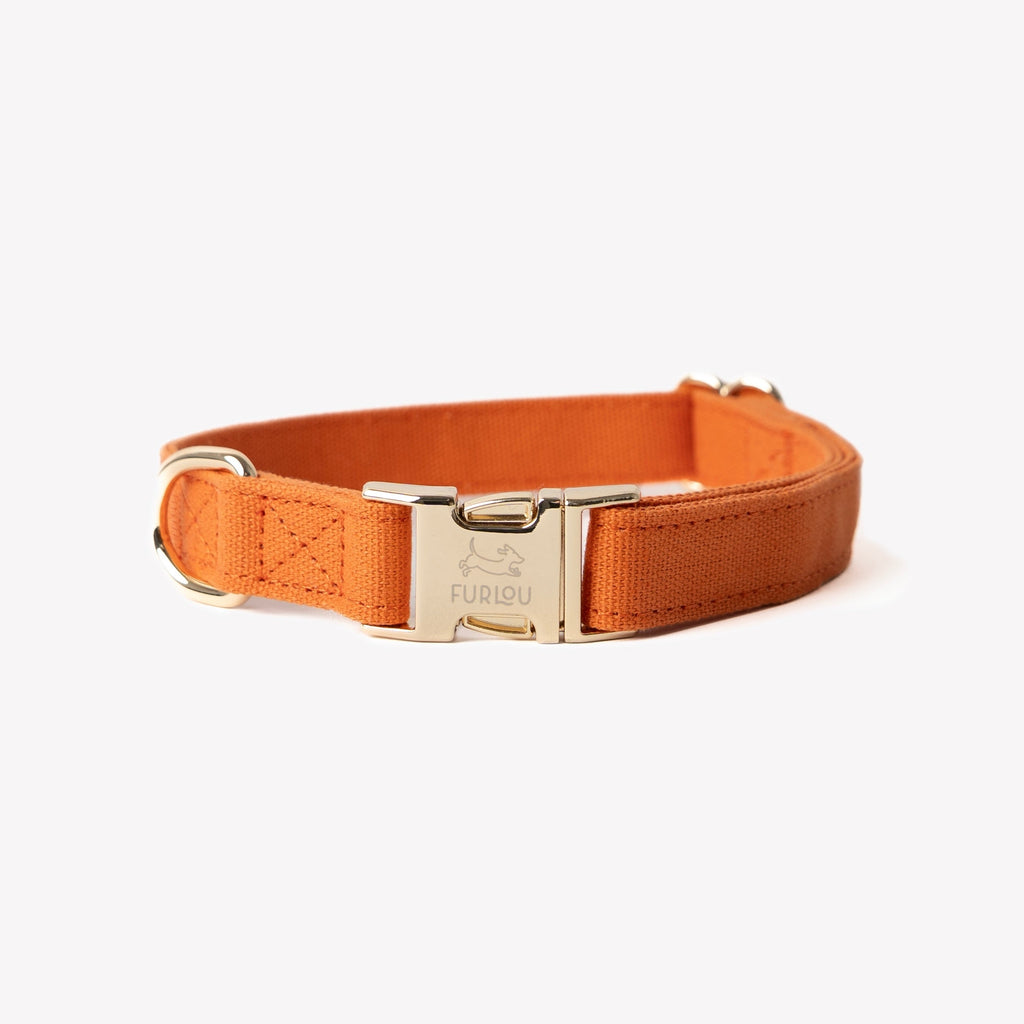 Terracotta Canvas Dog Collar