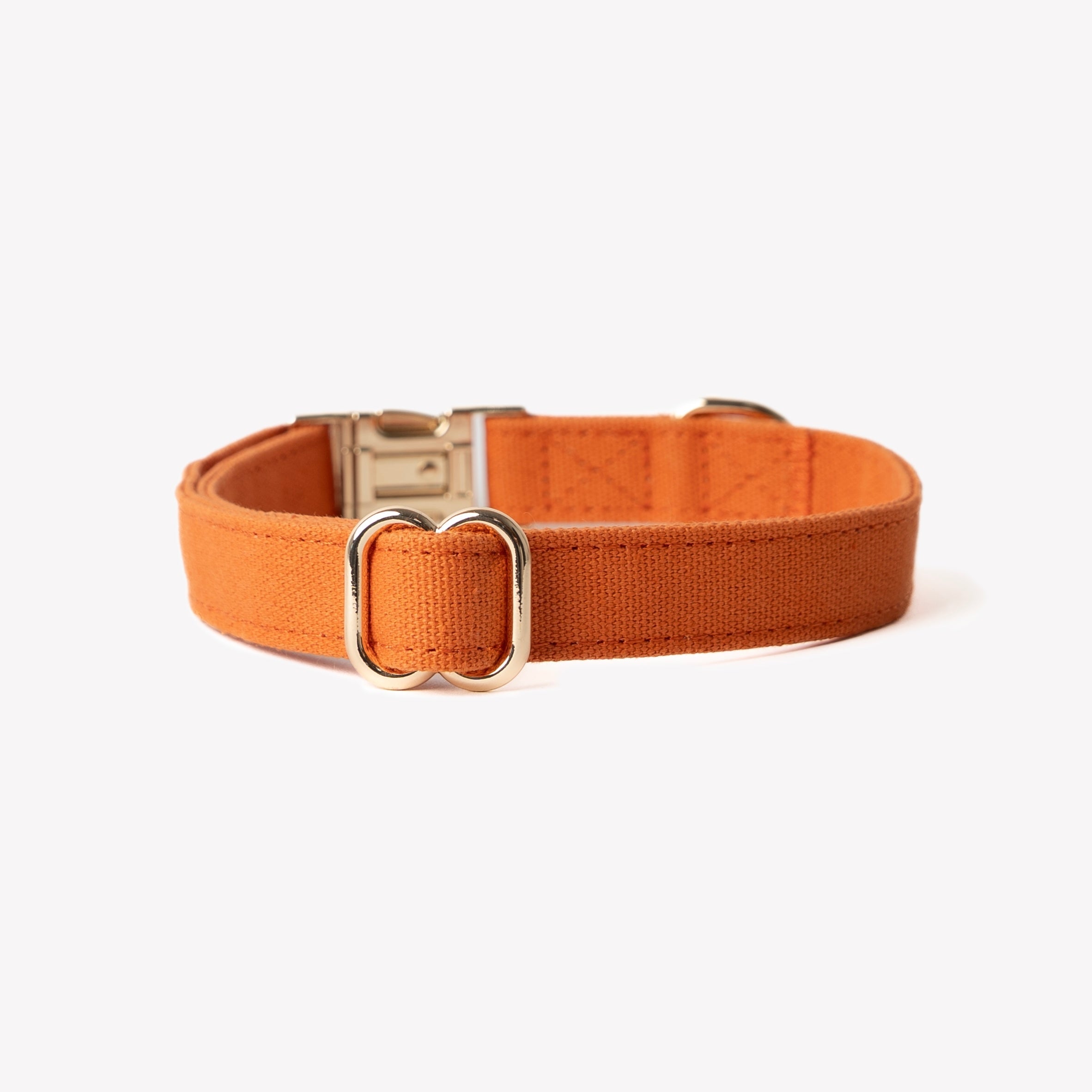 Terracotta Canvas Dog Collar