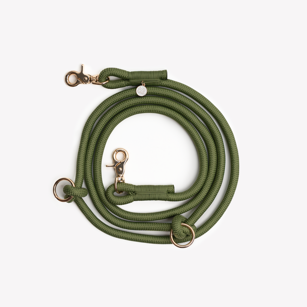 Green Hands-Free Braided Dog Leash