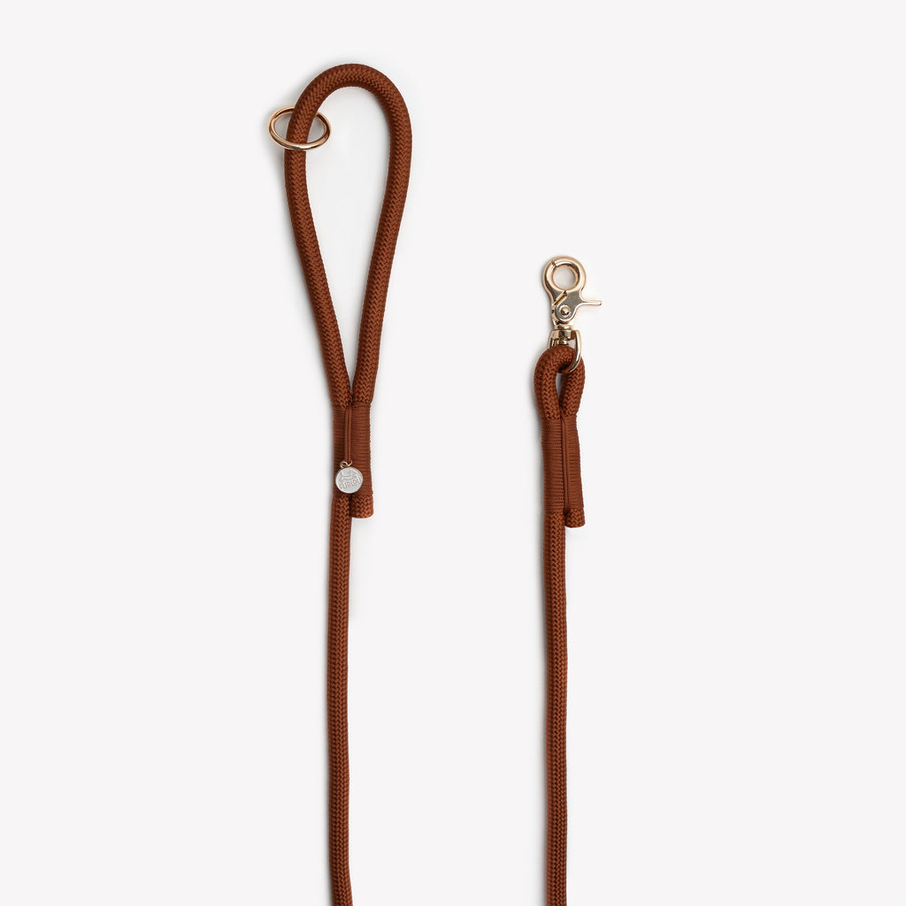 Clay Braided Rope Dog Leash
