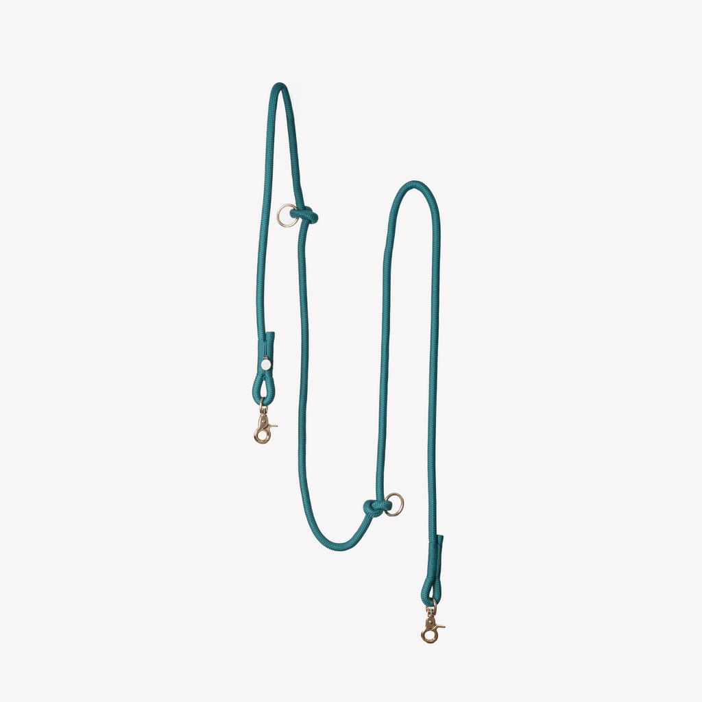 Blue Hands-Free Braided Dog Leash