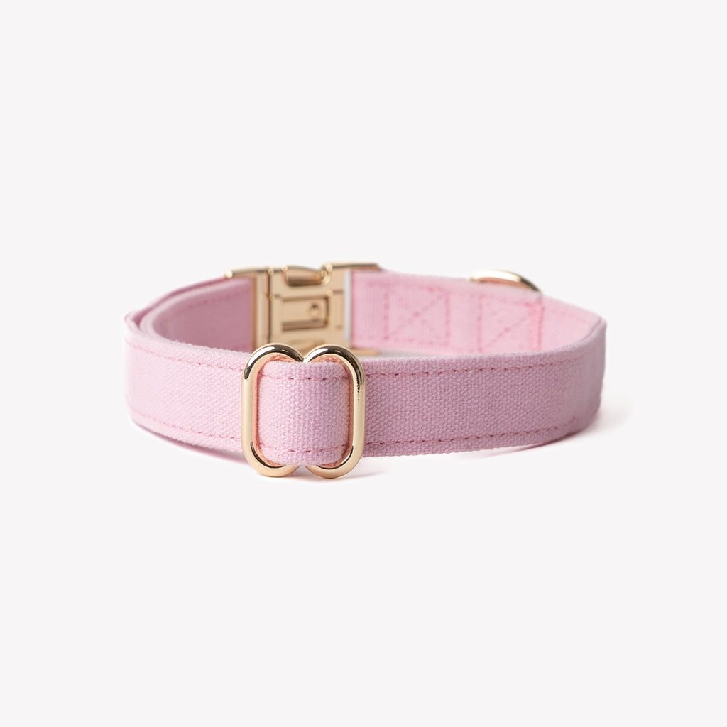 Pink Canvas Dog Collar