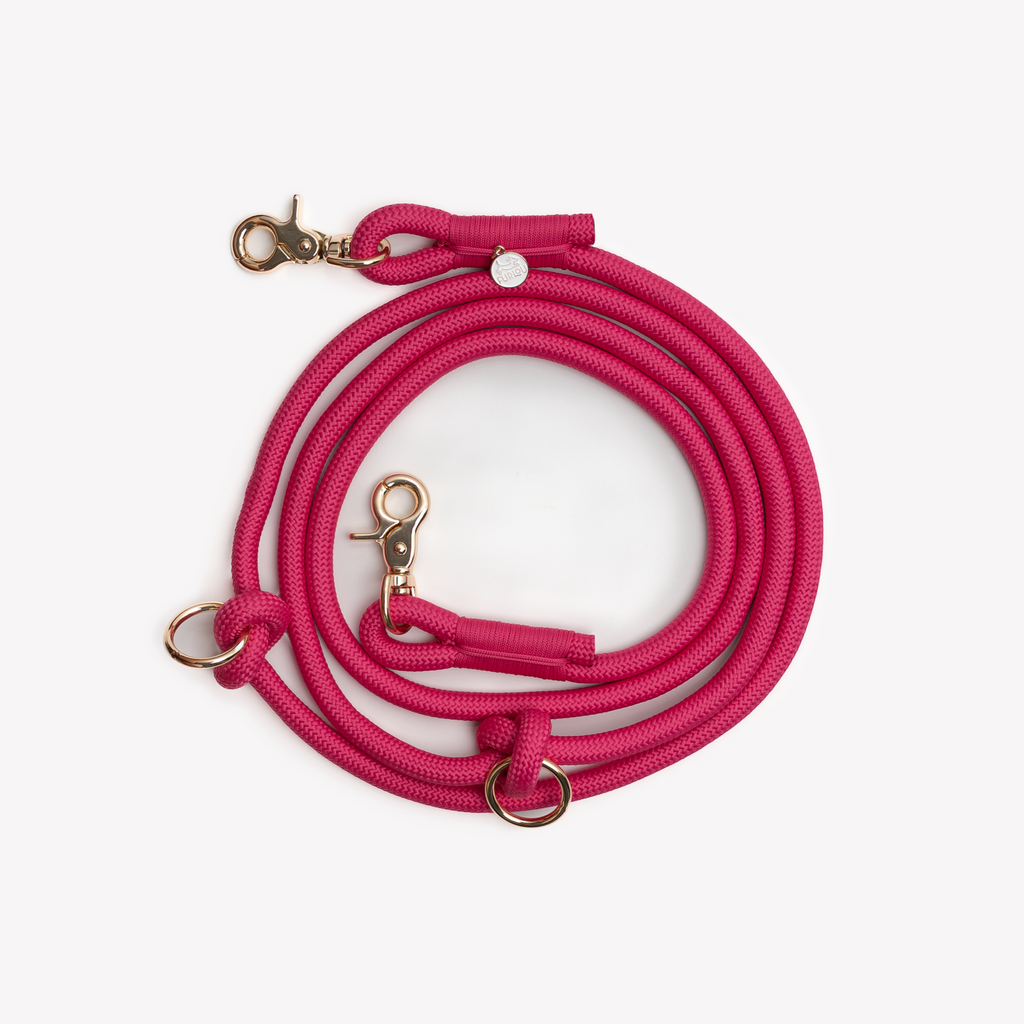 Magenta Hands-Free Braided Dog Leash
