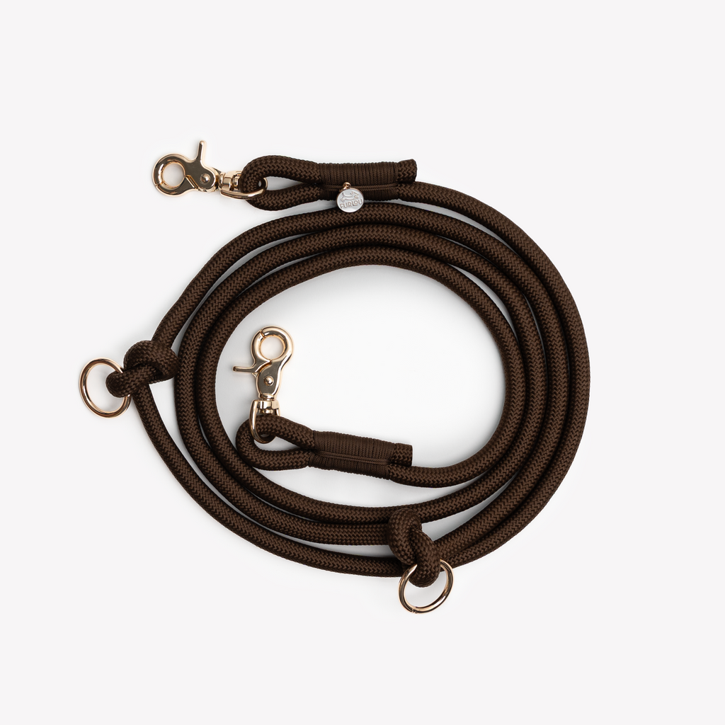 Brown Hands-Free Braided Dog Leash