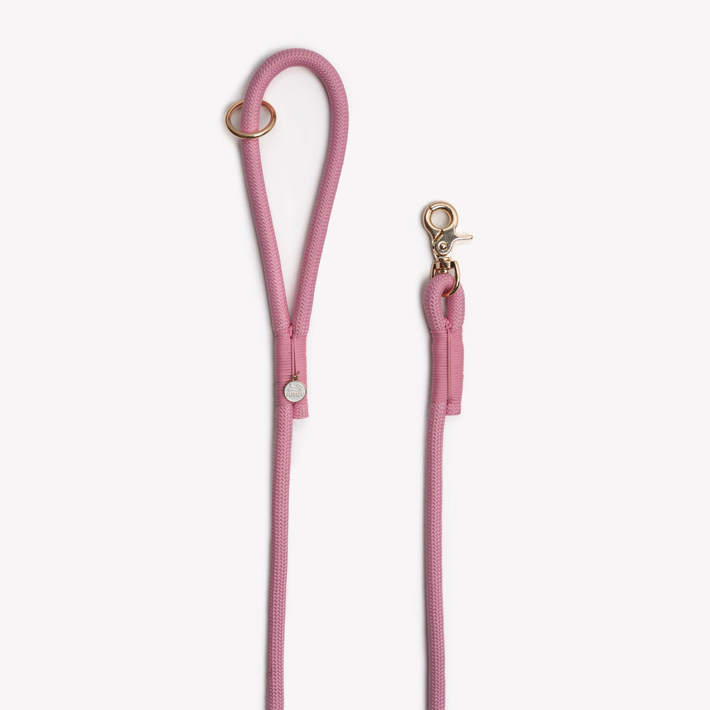 Pink Braided Rope Dog Leash