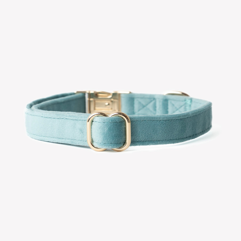 Blue Velvet Dog Collar