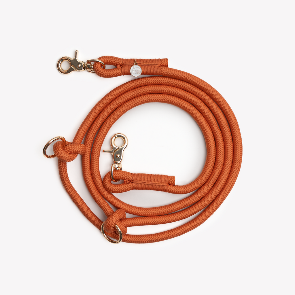 Terracotta Hands-Free Braided Dog Leash