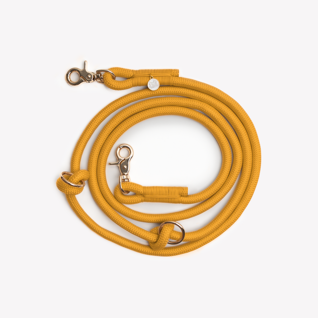 Yellow Hands-Free Braided Dog Leash