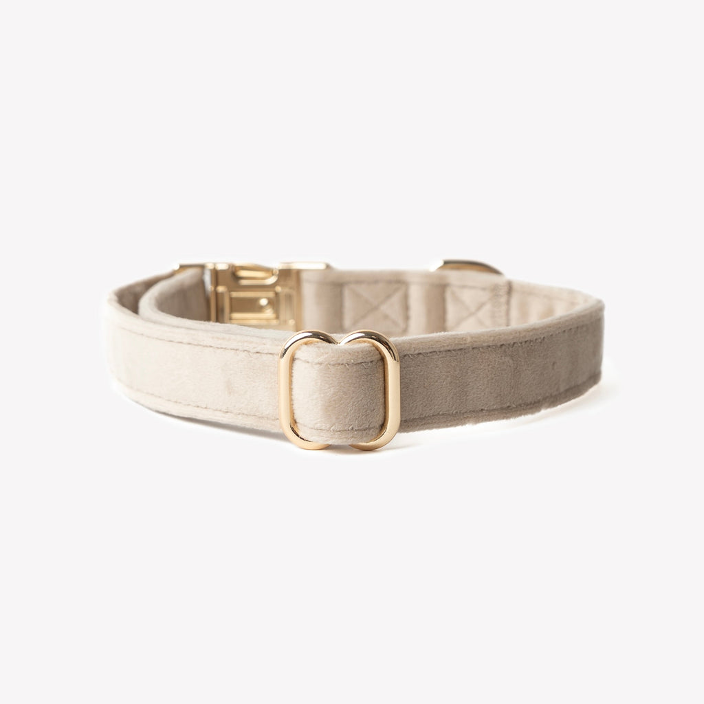 Sand Velvet Dog Collar