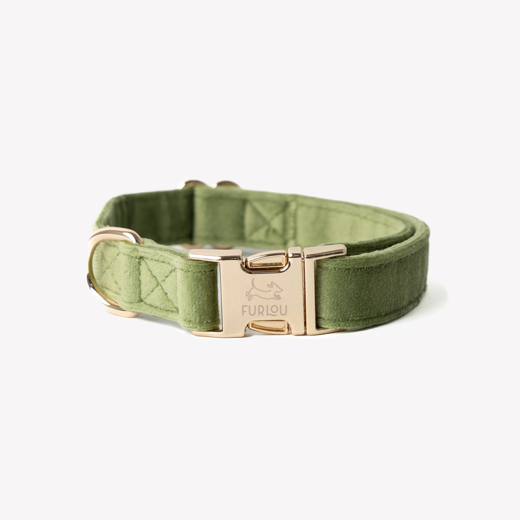 Green Velvet Dog Collar