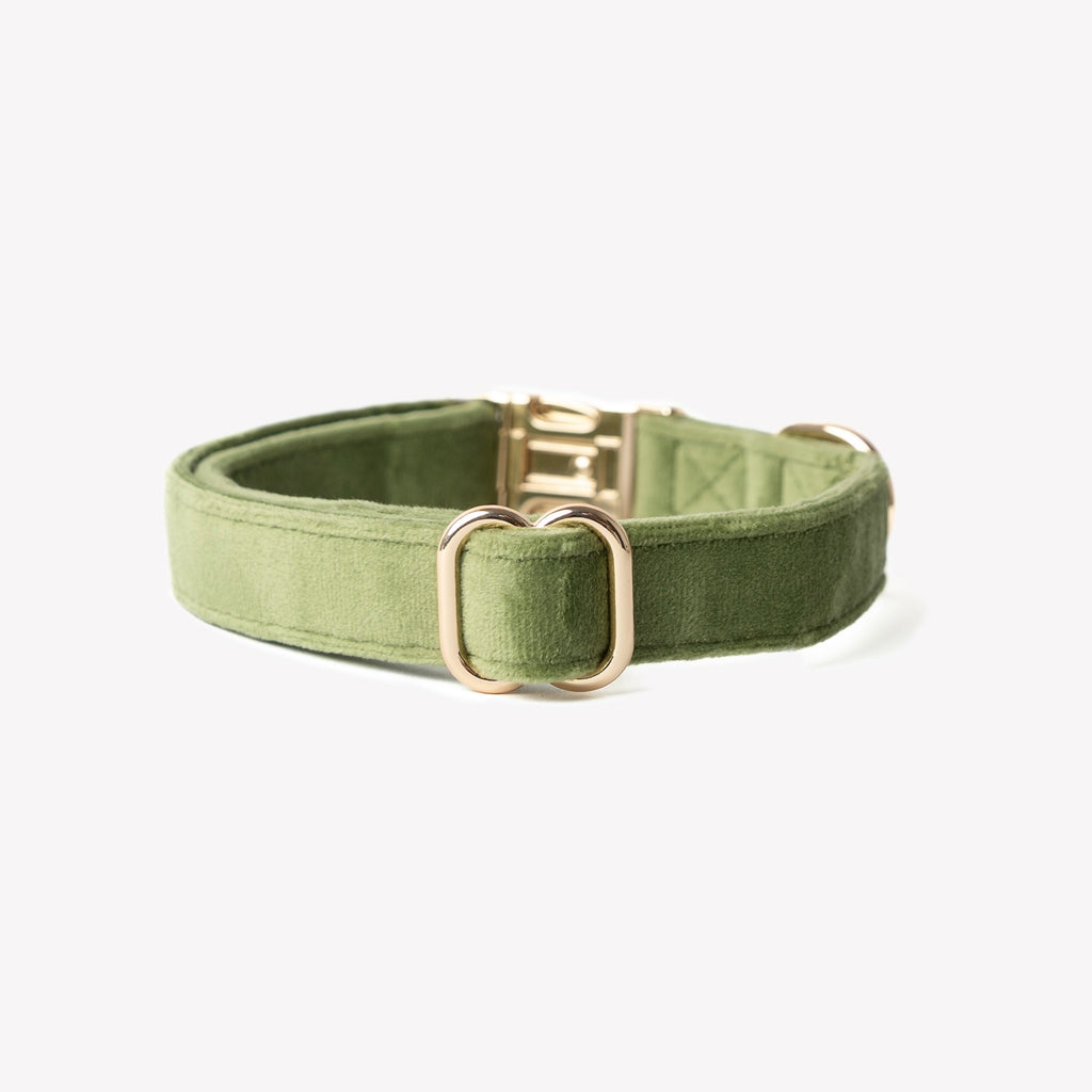 Green Velvet Dog Collar