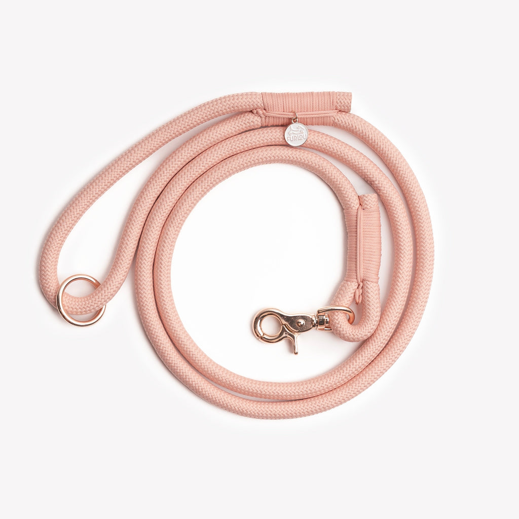 Powder Rose Braided Rope Dog Leash