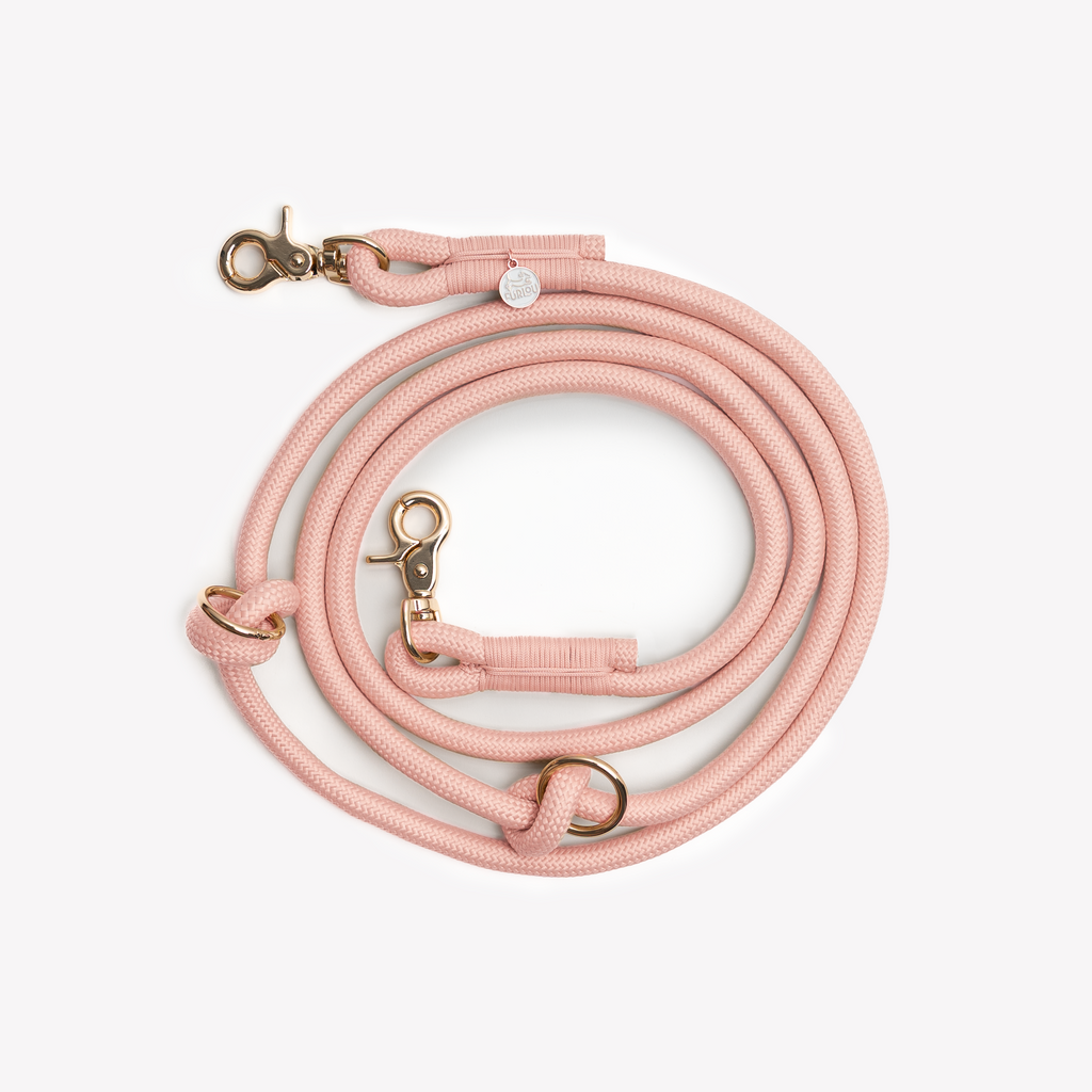 Powder Rose Hands-Free Braided Dog Leash