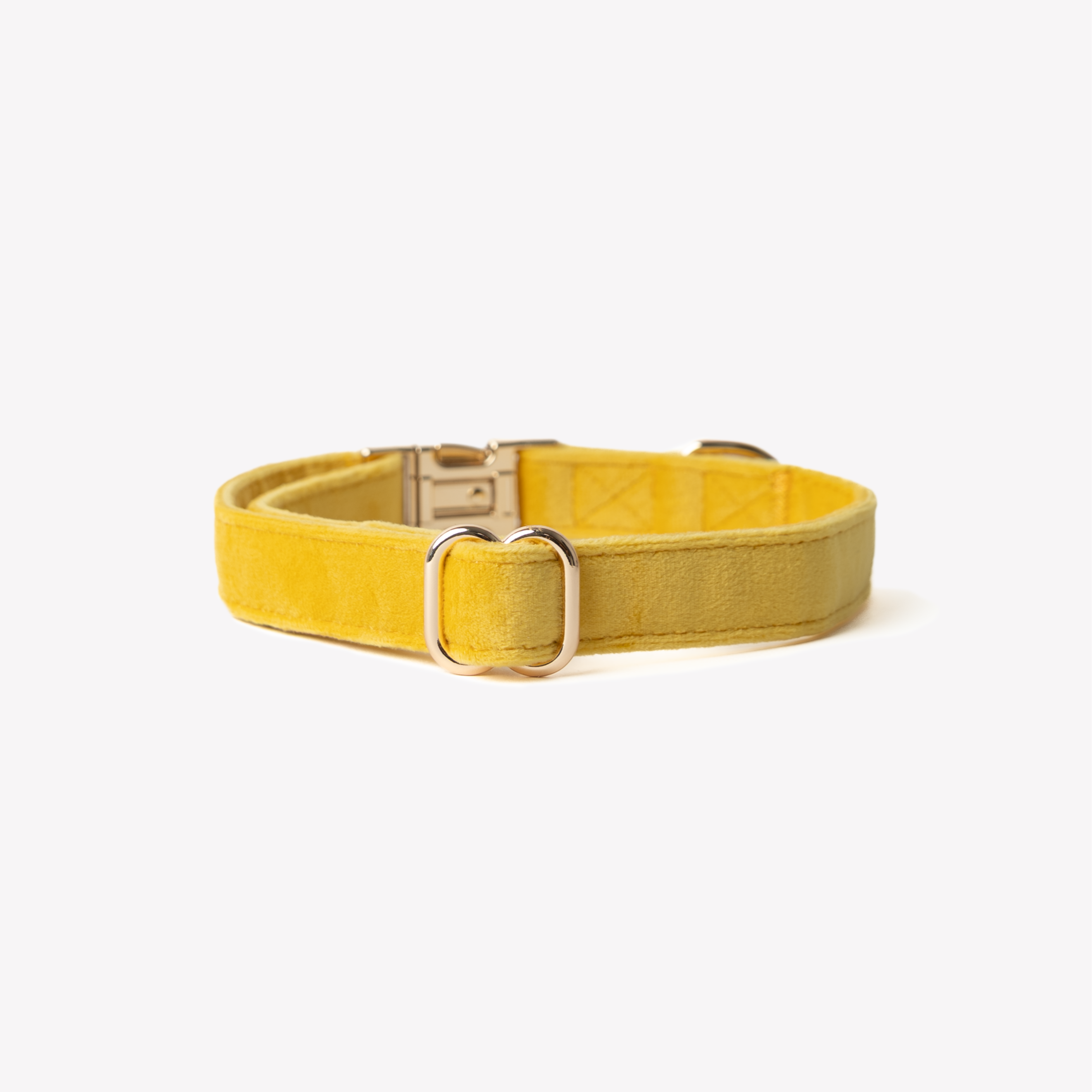 Yellow Velvet Dog Collar