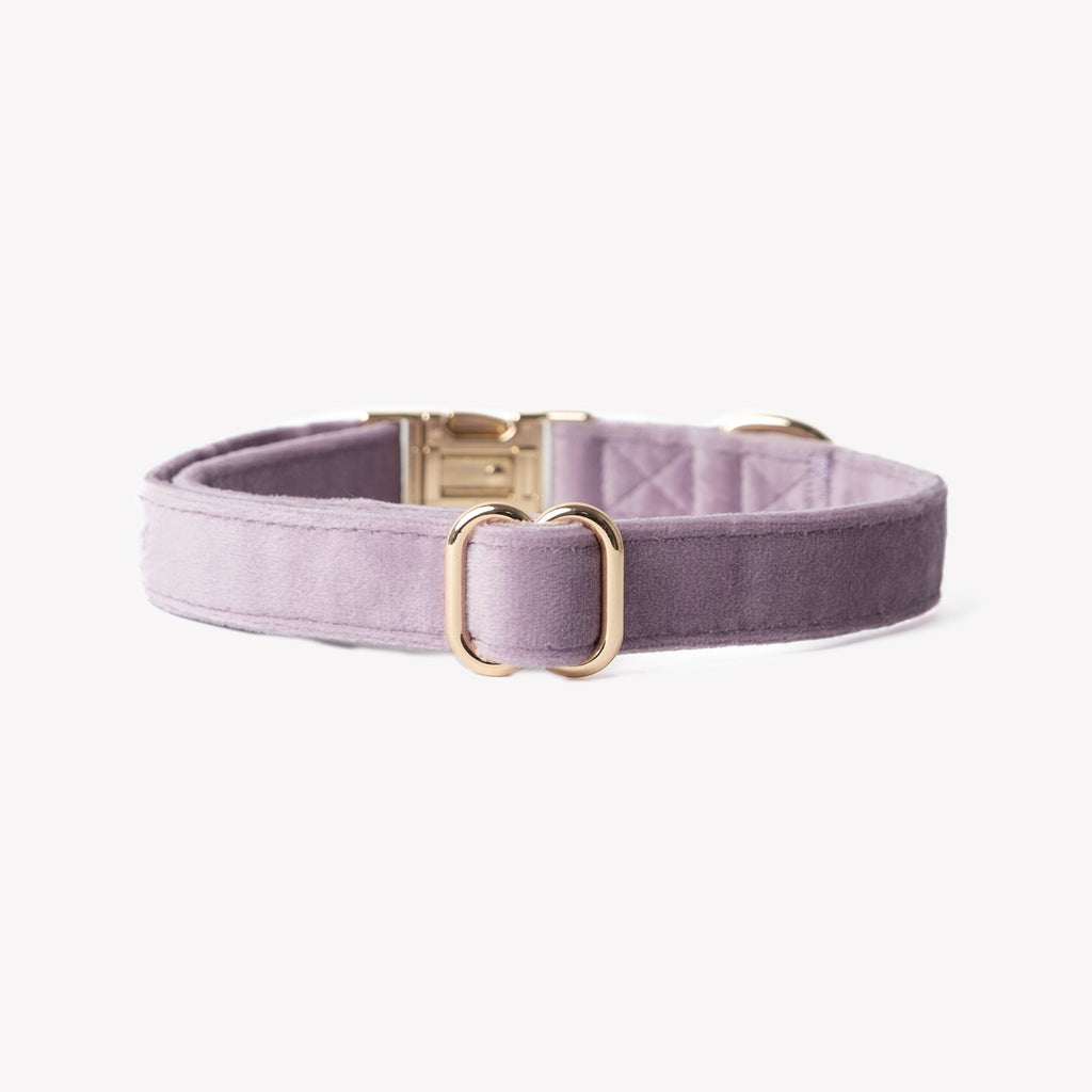 Lilac Velvet Dog Collar