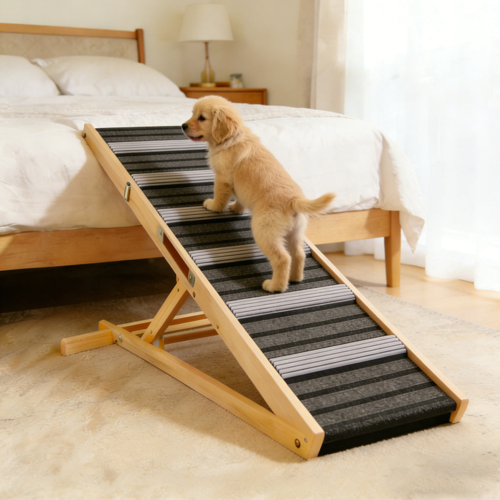 The Luna Ramp™ — Foldable Dog Steps for Couch & Car