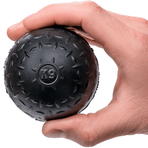 Beast Ball heavy duty dog ball — puncture resistant