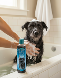 Bio-Groom Ultra Black — Color-Enhancing Shampoo for Dark Coats