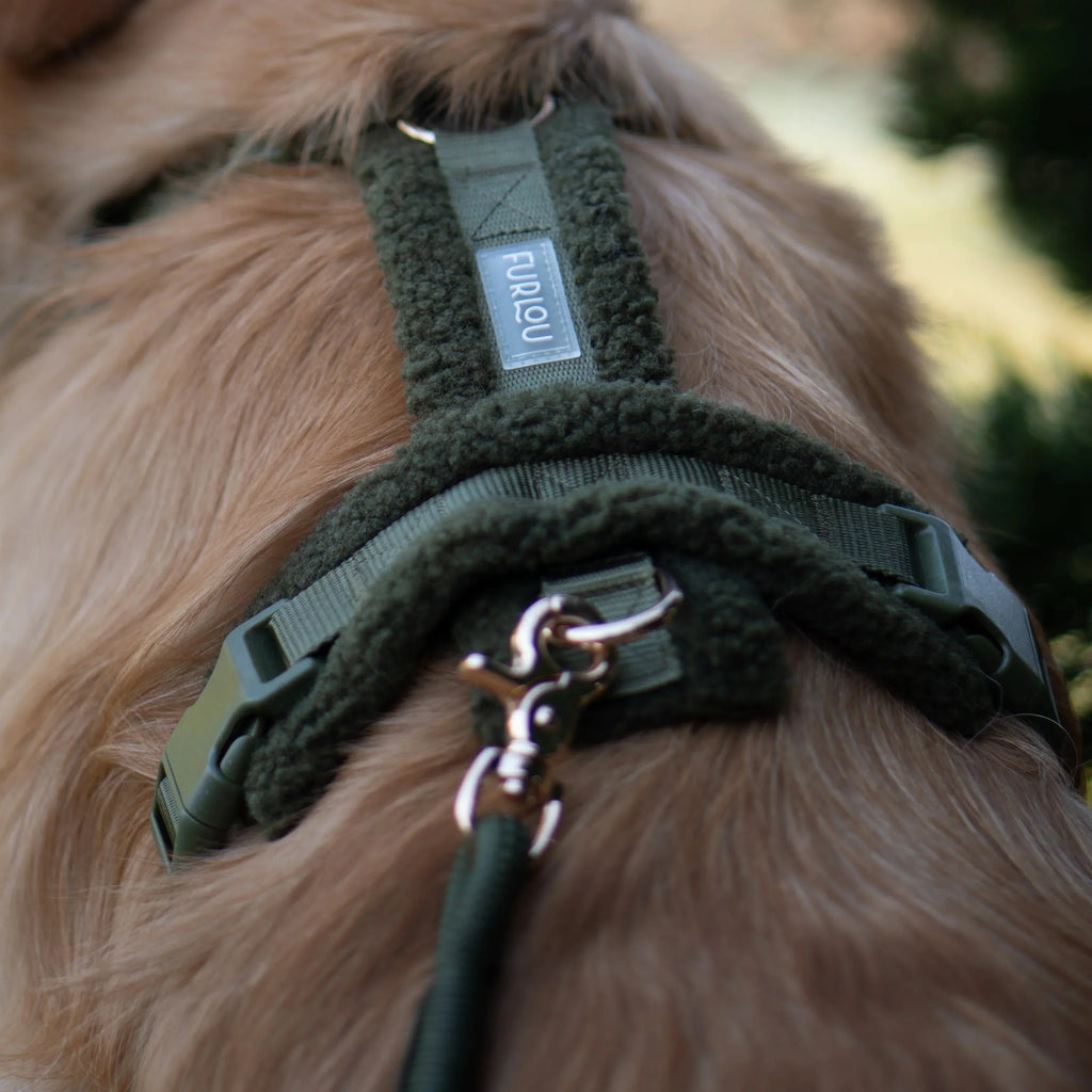 Moss Green Sherpa Dog Harness
